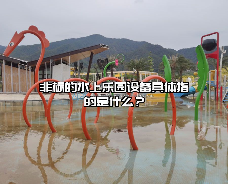 非標的水上樂園設備具體指的是什么？