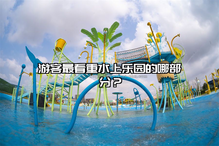 游客最看重水上樂園的哪部分？